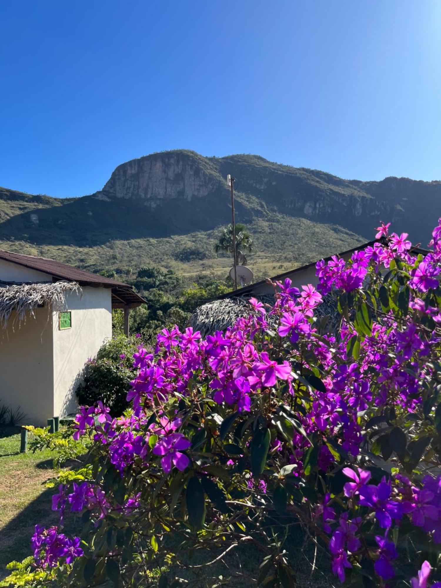 Pousada Rancho Dos Ipes อัลโต ปาไรโซ เด โกยาส ภายนอก รูปภาพ